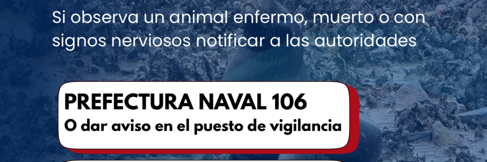 Numeros telefonicos de denuncia  