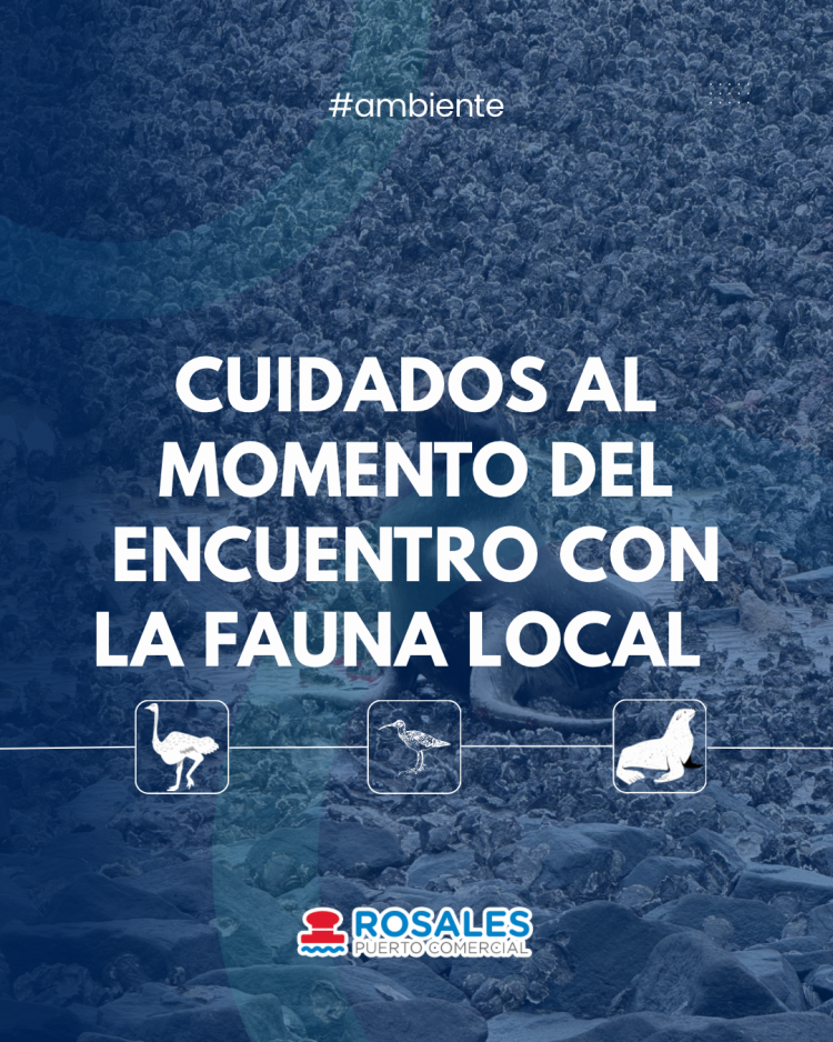 Recomendaciones para la convivencia responsable con fauna silvestre